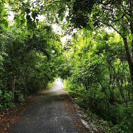 Misty Green Hills Parks & Resorts Kondotty Bagian luar foto