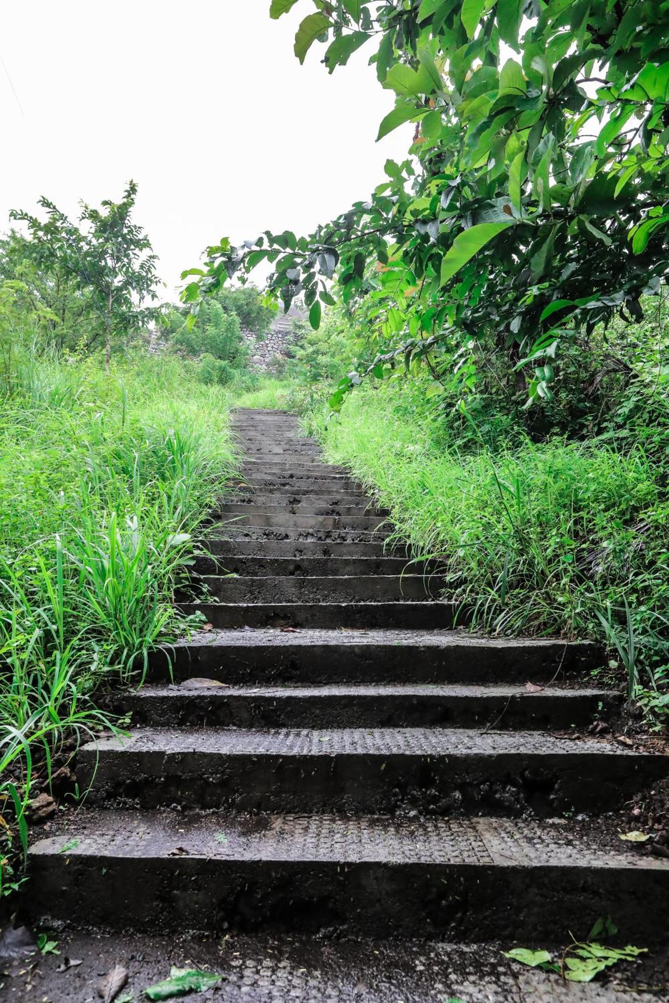 Misty Green Hills Parks & Resorts Kondotty Bagian luar foto