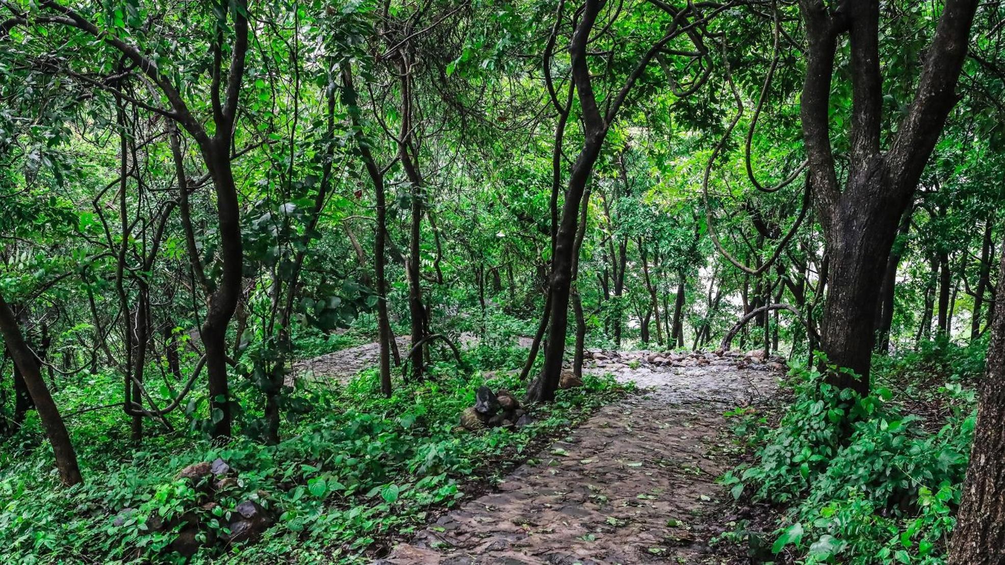 Misty Green Hills Parks & Resorts Kondotty Bagian luar foto