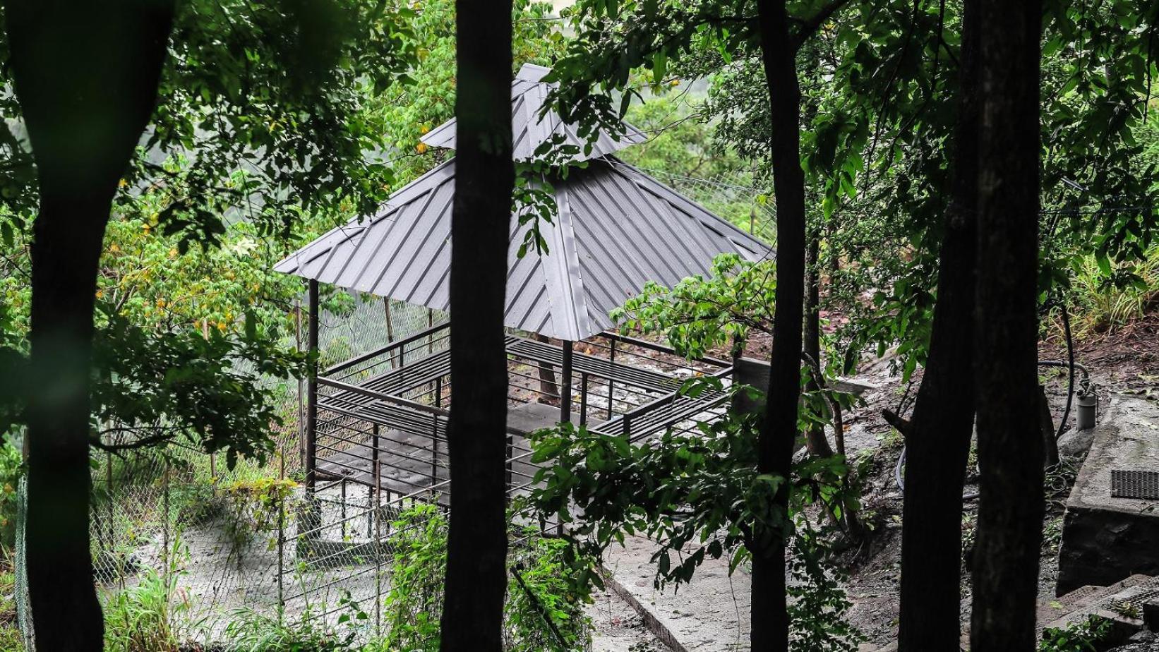 Misty Green Hills Parks & Resorts Kondotty Bagian luar foto