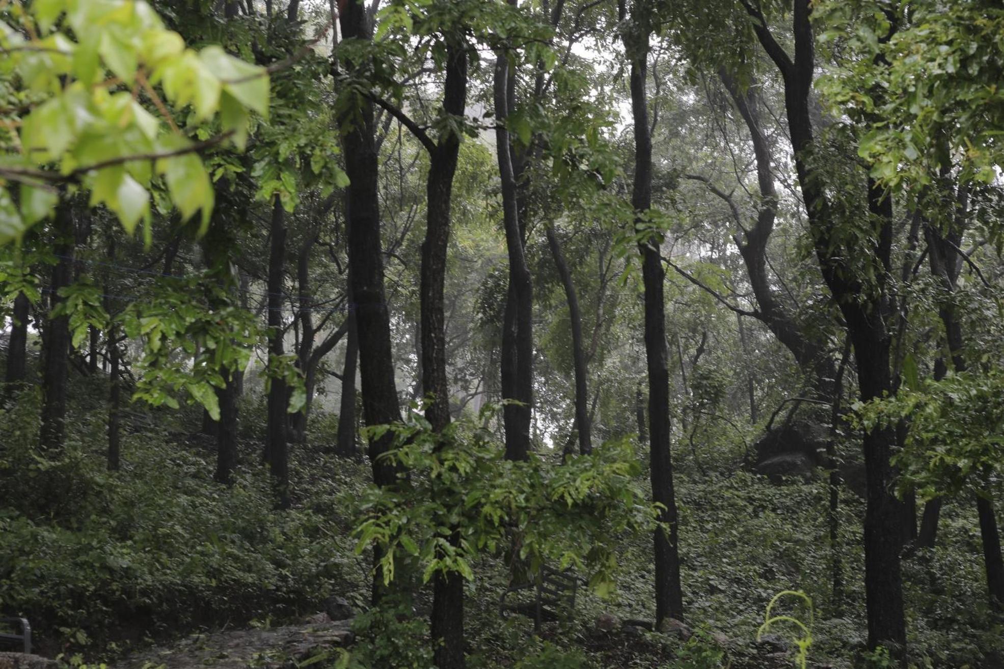 Misty Green Hills Parks & Resorts Kondotty Bagian luar foto