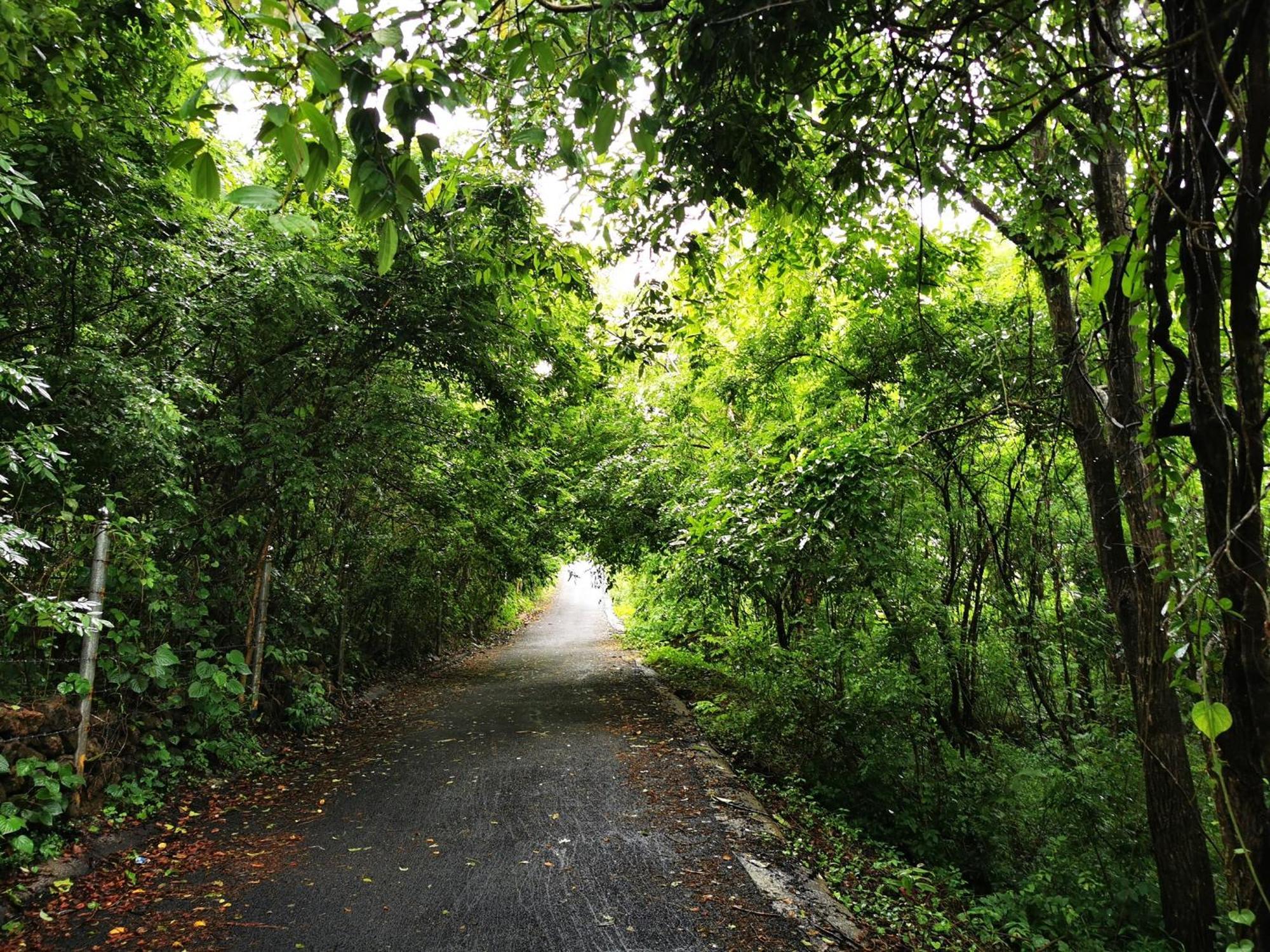 Misty Green Hills Parks & Resorts Kondotty Bagian luar foto